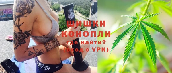 тгк Алзамай