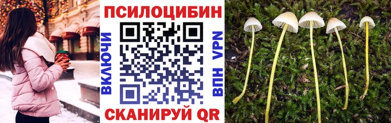 Псилоцибиновые грибы Psilocybe Купить Иваново